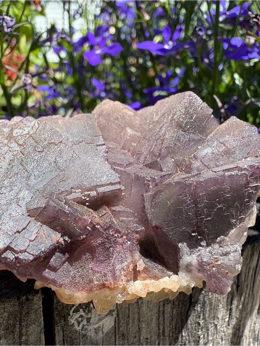 Purple Fluorite Cubic Crystal Cluster with Yellow Calcite Base